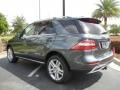 Steel Grey Metallic - ML 350 4Matic Photo No. 3