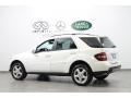 Arctic White - ML 350 4Matic Photo No. 5
