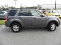 2010 Sterling Grey Metallic Ford Escape XLS  photo #12