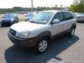 Sahara Silver - Tucson GLS V6 4x4 Photo No. 3