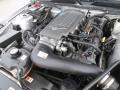 4.6 Liter SOHC 24-Valve VVT V8 Engine for 2009 Ford Mustang GT Premium Coupe #70237028