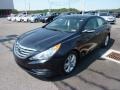 2013 Pacific Blue Pearl Hyundai Sonata Limited  photo #3