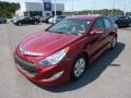 Venetian Red Pearl - Sonata Hybrid Photo No. 3
