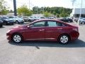 Venetian Red Pearl - Sonata Hybrid Photo No. 4