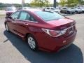 Venetian Red Pearl - Sonata Hybrid Photo No. 5