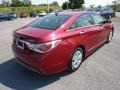 Venetian Red Pearl - Sonata Hybrid Photo No. 7