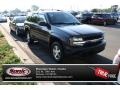 Black - TrailBlazer LS 4x4 Photo No. 1