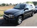 Black - TrailBlazer LS 4x4 Photo No. 4