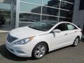 Shimmering White - Sonata Limited Photo No. 1