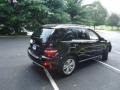 Obsidian Black Metallic - ML 350 4Matic Photo No. 7