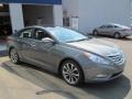 2013 Harbor Gray Metallic Hyundai Sonata Limited 2.0T  photo #3