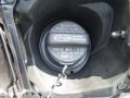 Pyrite Mica - Tacoma Access Cab Photo No. 12