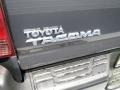Pyrite Mica - Tacoma Access Cab Photo No. 13