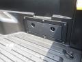 Pyrite Mica - Tacoma Access Cab Photo No. 16