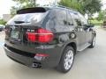 Jet Black - X5 xDrive 35i Photo No. 10