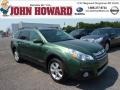 2013 Cypress Green Pearl Subaru Outback 2.5i Limited  photo #1