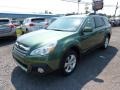 2013 Cypress Green Pearl Subaru Outback 2.5i Limited  photo #3