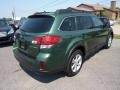 2013 Cypress Green Pearl Subaru Outback 2.5i Limited  photo #6