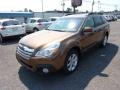 Caramel Bronze Pearl - Outback 2.5i Premium Photo No. 3