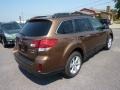 Caramel Bronze Pearl - Outback 2.5i Premium Photo No. 6