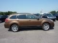 Caramel Bronze Pearl - Outback 2.5i Premium Photo No. 7