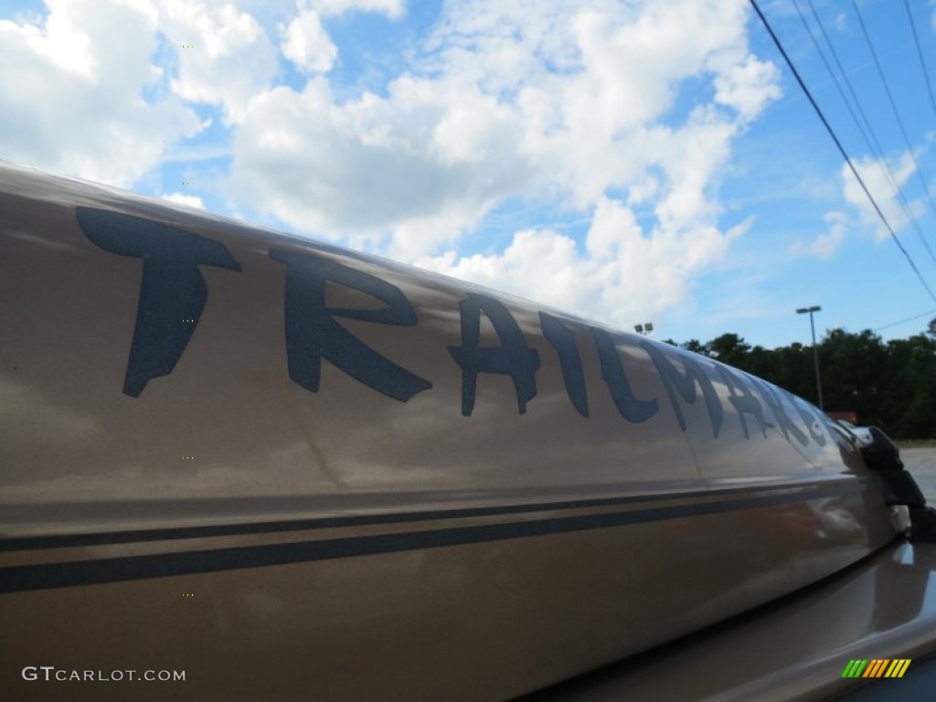 2000 Wrangler Sport 4x4 - Desert Sand Pearl / Camel photo #10