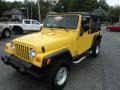 2004 Solar Yellow Jeep Wrangler Unlimited 4x4  photo #2