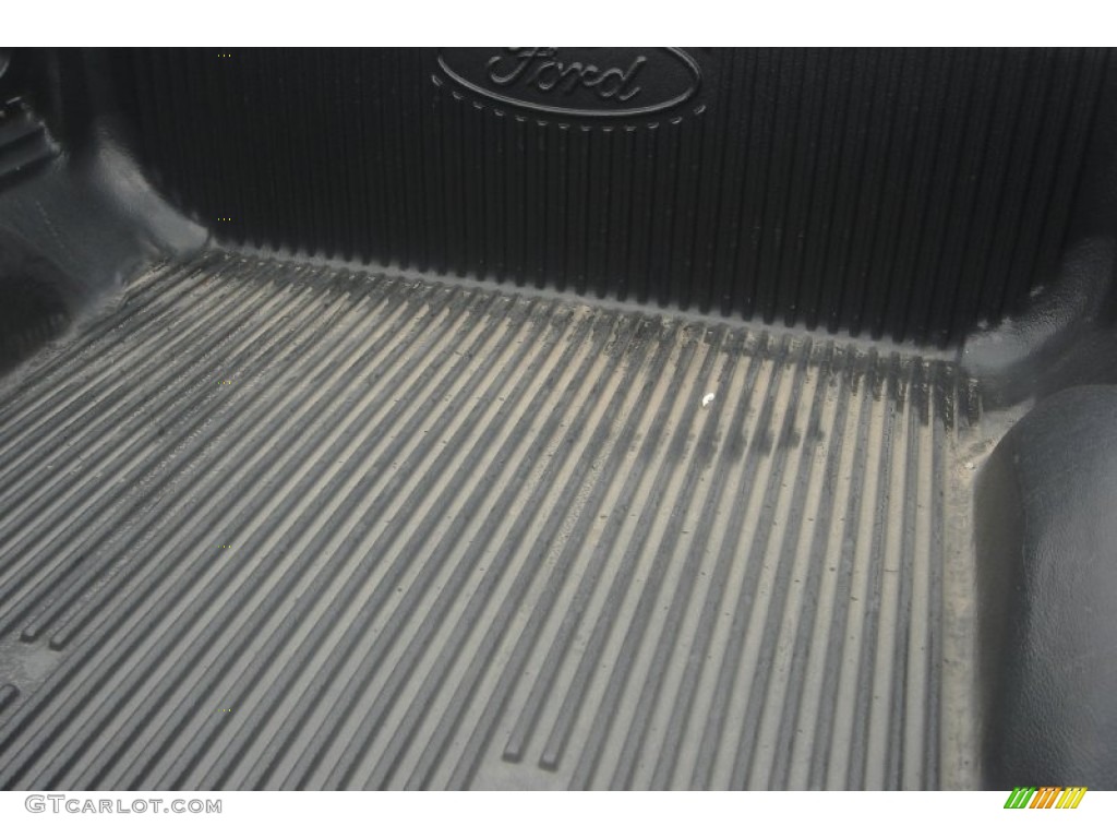 2010 F150 XLT SuperCrew 4x4 - Blue Flame Metallic / Tan photo #5