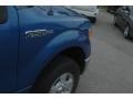 2010 Blue Flame Metallic Ford F150 XLT SuperCrew 4x4  photo #14