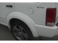 Bright White - Nitro Shock 4x4 Photo No. 31