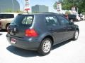 2004 Blue Anthracite Metallic Volkswagen Golf GLS 4 Door  photo #6