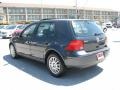 2004 Blue Anthracite Metallic Volkswagen Golf GLS 4 Door  photo #8