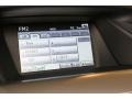 2010 Tungsten Silver Pearl Lexus RX 450h AWD Hybrid  photo #39