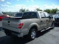 Pueblo Gold Metallic - F150 XLT SuperCrew Photo No. 5