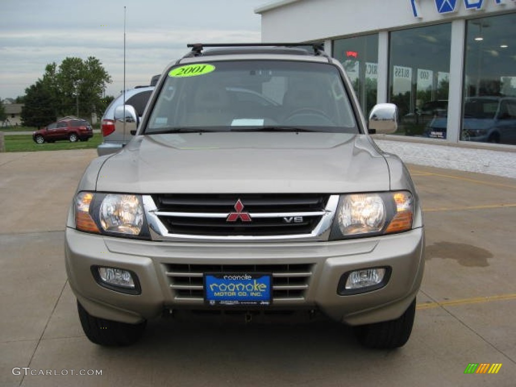 2001 Montero Limited 4x4 - Sudan Beige / Tan photo #6