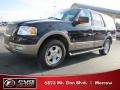 2003 Black Clearcoat Ford Expedition Eddie Bauer  photo #1