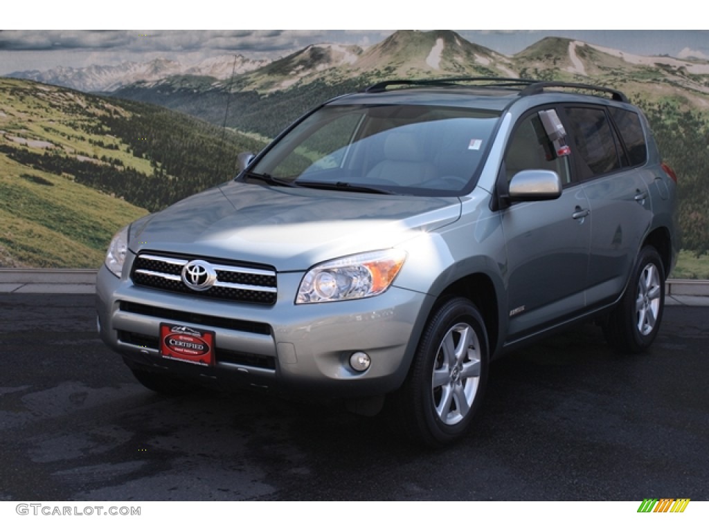 2008 RAV4 Limited 4WD - Everglade Metallic / Ash photo #5