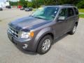 2010 Sterling Grey Metallic Ford Escape XLT 4WD  photo #1