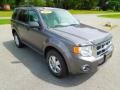 2010 Sterling Grey Metallic Ford Escape XLT 4WD  photo #2