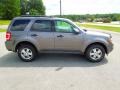 2010 Sterling Grey Metallic Ford Escape XLT 4WD  photo #3