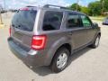 2010 Sterling Grey Metallic Ford Escape XLT 4WD  photo #6