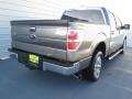 2010 Sterling Grey Metallic Ford F150 XLT SuperCrew  photo #3