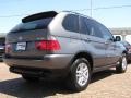 Stratus Grey Metallic - X5 3.0i Photo No. 5