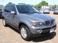 Stratus Grey Metallic - X5 3.0i Photo No. 15