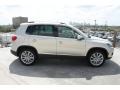 White Gold Metallic - Tiguan SE Photo No. 9