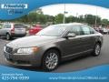 Oyster Gray Metallic - S80 3.2 Photo No. 3