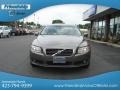 Oyster Gray Metallic - S80 3.2 Photo No. 4