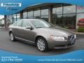 Oyster Gray Metallic - S80 3.2 Photo No. 5
