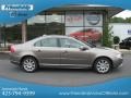 Oyster Gray Metallic - S80 3.2 Photo No. 6