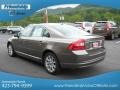 Oyster Gray Metallic - S80 3.2 Photo No. 9